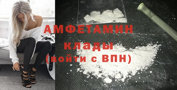 шишки Мегион