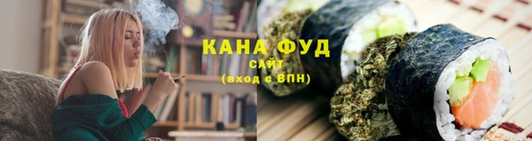 шишки Мегион