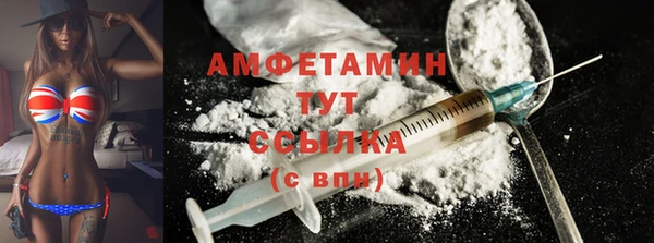 шишки Мегион
