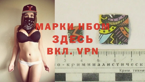 шишки Мегион