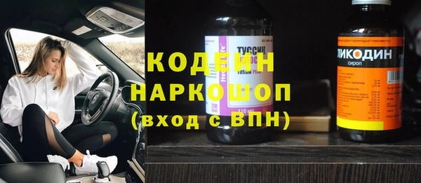 шишки Мегион
